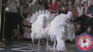 LIVE  President Biden pardons turkeys ‘Peach” amp ‘Blossom’ in turkey tradition [upl. by Brandais298]