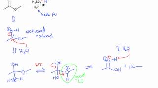 Ester Hydrolysis Acidic and Basic Conditions [upl. by Lah]