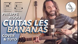 🎼 CUITAS LES BANANAS  Philippe RISOLI COVER amp TUTO 🔥 [upl. by Euf]