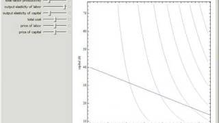 Optimization of CobbDouglas Function [upl. by Ahtnams]