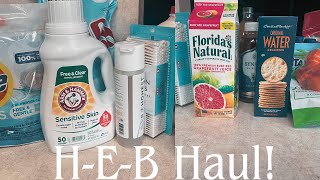 HEB mini grocery haul 2024 Truly Irene [upl. by Dewain]