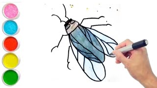 How to Draw a Housefly step by step Tutorial [upl. by Web]