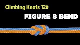 How to Tie a Figure 8 Bend knottips101 [upl. by Mmada259]