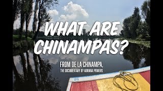 What are Chinampas [upl. by Inat]