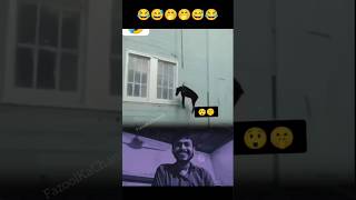 New respect sigma tricks funny comedy dog compilation build hollywood robber trending w [upl. by Eudoca]