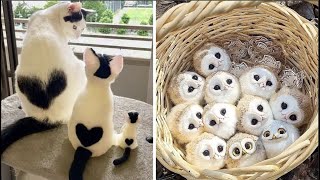 Cute Baby Animals Videos Compilation  Funny and Cute Moment of the Animals 31  Cutest Animals [upl. by Aihsek427]