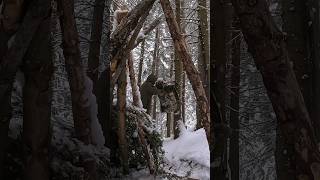 Making a Bowsaw🪚 bushcraft outdoors survival camping [upl. by Quinton245]