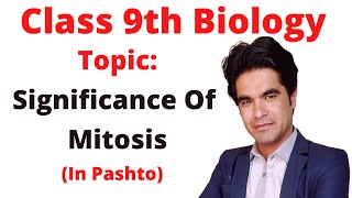 Significance of mitosis  9 biology in pashto  Home of biology [upl. by Wrdna]