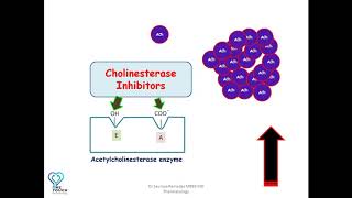 MOA of Cholinesterase inhibitorsAnticholinesterases edrophonium neostigmine  Organophosphates [upl. by Skinner840]