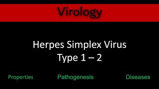 3 Virology Herpes Simplex Virus Type 1 – 2 بالعربي [upl. by Horatio]