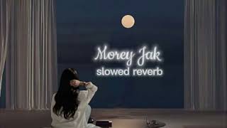 Morey Jak slowed reverb Pritom hasan [upl. by Hefter]