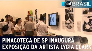 Pinacoteca de SP inaugura exposição com mais de 150 obras de Lygia Clark  SBT Brasil 02032024 [upl. by Gilud]