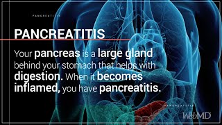 What is Pancreatitis  WebMD [upl. by Nalra362]