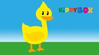 Alle meine Entchen  Kinderlieder KIDDYBOXTV [upl. by Cyndie]