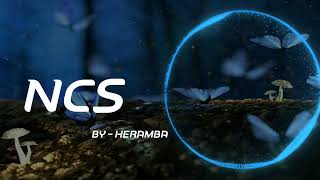 Faded异域 Jacla remix  Naxsy Douyin Version  NCS I EDM ncsnocopyrightsounds [upl. by Etolas]