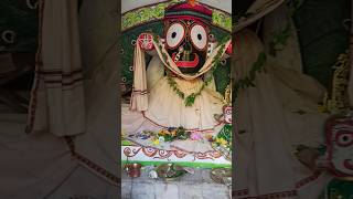 tume ananta akhyaya he jagannatha bhakti song shradha devotionalsong bhaktisong shorts short [upl. by Cochard816]