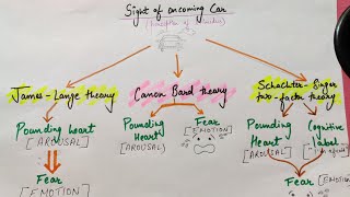 Theories of Emotion  Processing the Environment  MCAT  Khan Academy [upl. by Rednirah]