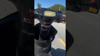 2016 TaoTao Scooter GY6 139QMB 040 in seconds [upl. by Nerra]