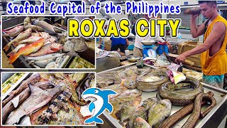 Unveiling the Seafood Capital of the Philippines ROXAS CITY PUBLIC MARKET and Bountiful Offerings [upl. by Montagu]