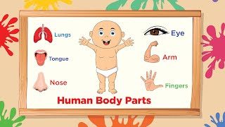 Parts of Body  Body Parts Name  Learn Body parts  Basic Parts of Body [upl. by Mian22]