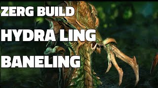 Starcraft 2 Zerg Build  Hydra Ling Baneling v Terran GuideGameplay Demonstration [upl. by Tnecillim]