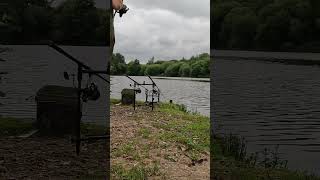 Carp run on the Delkims 126fishing carp carpfishingcarpbitesamprunsuk [upl. by Mckenzie258]