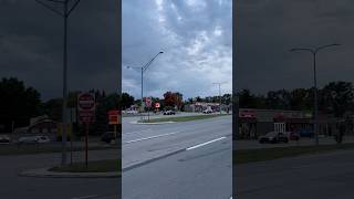 SHELBYS LEAVING LOT shelby gt500 mustangs mustanggt500 ford viral shorts reels viralvideo [upl. by Rae]