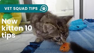 New kitten 10 things you NEED to know  PET CIRCLE [upl. by Adorl]