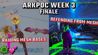 Raiding Mesh Bases On Arkpoc amp Waking Up ONLINE WIPED Finale￼  Ark Survival Evolved Arkpoc  BDT [upl. by Nivlac]