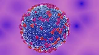 viruses shapes of viruses life cycle of viruses [upl. by Matheson]