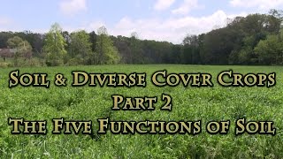 Soil amp Diverse Cover Crops Part 2 The Five Functions of Soil [upl. by Lemmy]