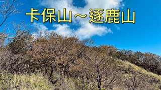 卡保山～逐鹿山o型路線欣賞山毛櫸 [upl. by Joceline157]