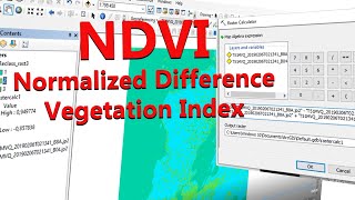 Tutorial Kerapatan Vegetasi menggunakan ArcGIS  NDVI Citra Sentinel2A [upl. by Ahsinnor]