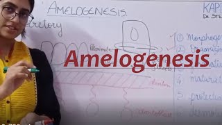 AMELOGENESIS  Enamel Formation kapdent dental [upl. by Htebharas]