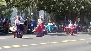 Rose White amp Blue Parade [upl. by Zamora]