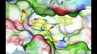 Ligand Docking in ICM Small Molecules Fragments Covalent and TemplateBased Methods [upl. by Amzu]