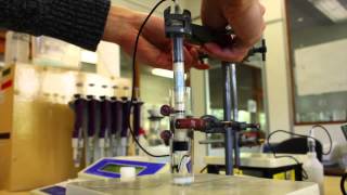 Chemistry  Ion Selective Electrode experiment [upl. by Brandyn44]