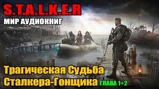 STALKER Загадочная красавица и трагическая судьба сталкера  аудиокниги [upl. by Newbill483]