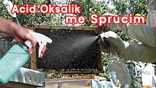 🔴Episodi 39 Trajtimi veror me Acid Oksalik kundër varroas [upl. by Eittel]