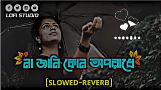 না জানি কোন অপরাধে দিলা এমন জীবন 😭🎶  na jani kon oporadhe dila amon jibon  Slowedreverb song [upl. by Ttehr]