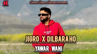 Jigro x Dilbara Ho ll Kashmiri New Trending Song ll Yawar Wani New Song ll Suhail Fayaz Shilwati [upl. by Sllew]