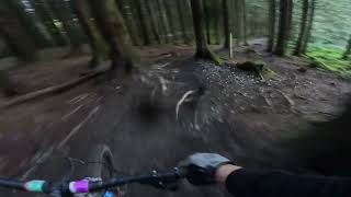 Bike Park Wales  Vicious valley  Bonneyville  Snakebite [upl. by Ennayehc]