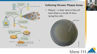 MICRO 111 Ch123 Virus Replication and Culture [upl. by Kori]