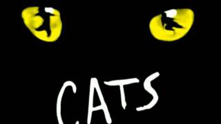 Cats  Musical versione italiana 13Lultima battaglia di Gattigre Parte 2 [upl. by Sari]