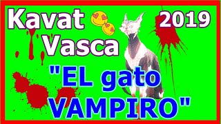 Warframe 👉 KAVAT VAMPIRO vasca Como CONSEGUIRLO  BUILD en ESPAÑOL 2019🐱❤️ [upl. by Merla]