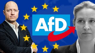 DAS will die AfD bei der Europawahl umsetzen [upl. by Tabina]