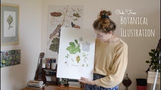 vlog Botanical Illustration • Oak Tree  Part 2 [upl. by Deaner58]