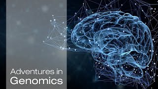 Untangling Alzheimers Secrets  Adventures in Genomics [upl. by Leidgam260]