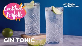 GIN TONIC COME PREPARARE A CASA IL TUO COCKTAIL✨ [upl. by Perlman67]