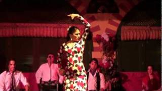 Flamenco Dance Seville Spain [upl. by Cristoforo]